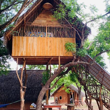 Yala Village Eco Tree House Tissamaharama Bagian luar foto