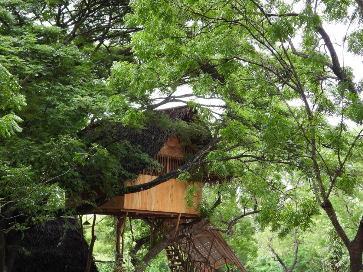 Yala Village Eco Tree House Tissamaharama Bagian luar foto