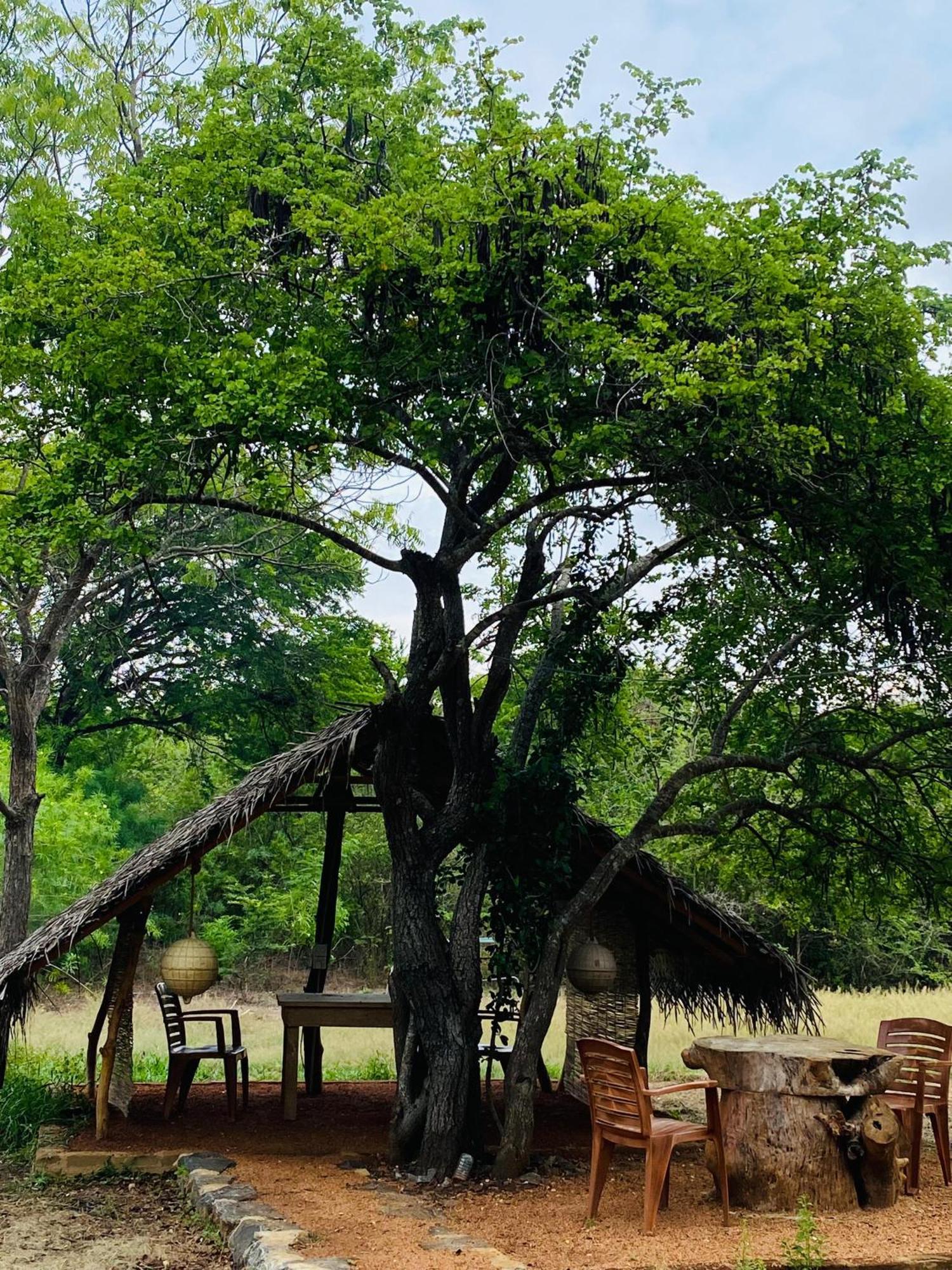 Yala Village Eco Tree House Tissamaharama Bagian luar foto